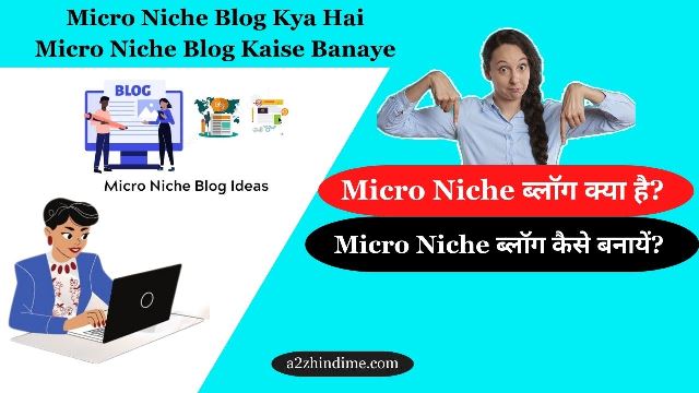 Micro Niche Blog Kya Hai