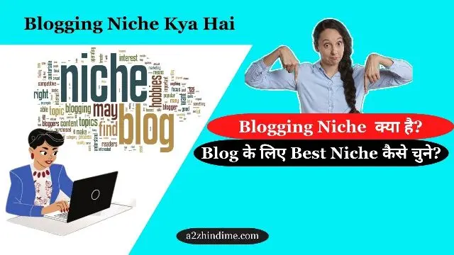 Blogging Niche Kya Hai